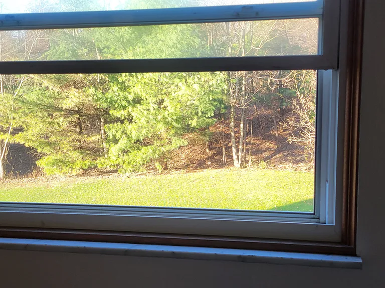 1503 Hobart Ave #6 — Photo 7