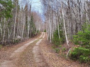 Xx80 Pelican River Forest Rd, Orr, MN 55771