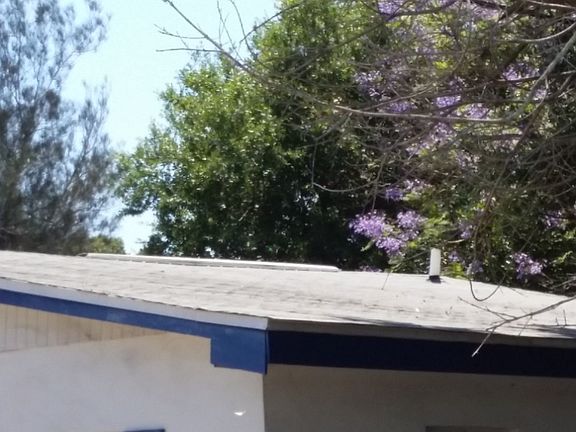 Roof replaced in 2013