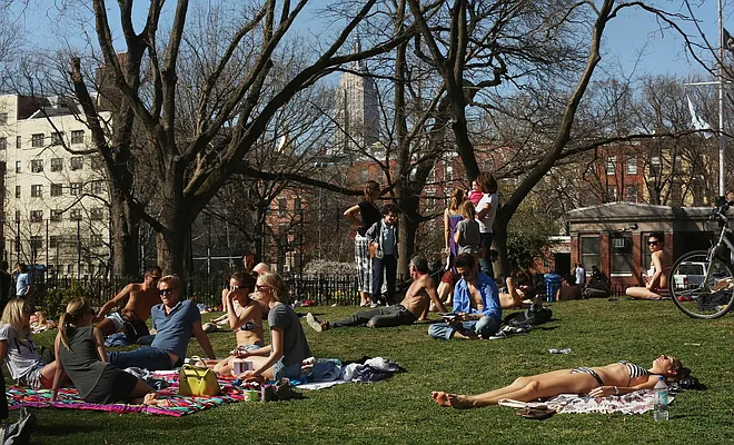 Rented by Mayell LLC | media 3