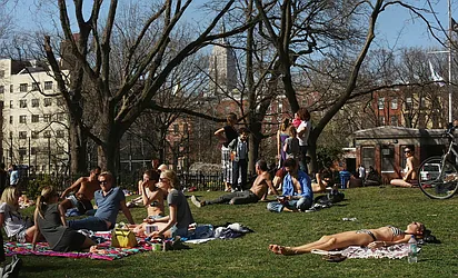 Rented by Mayell LLC