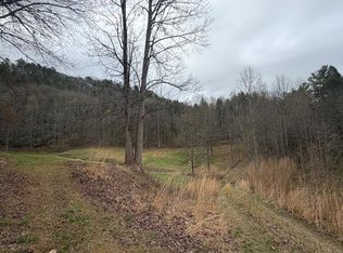 Patterson Ln, Blue Ridge, GA 30513