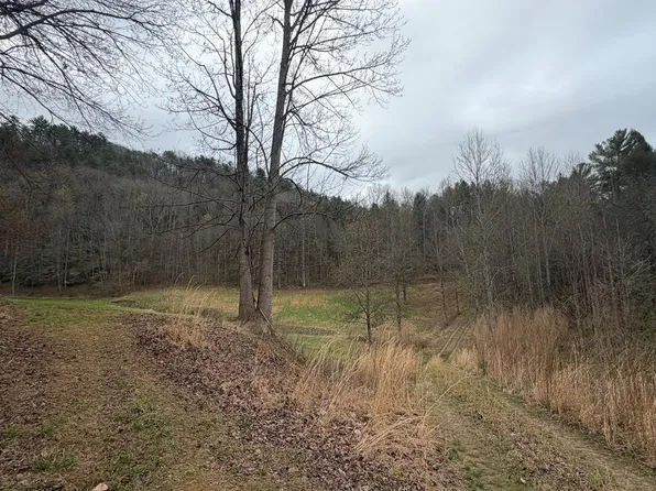 Patterson Ln, Blue Ridge, GA 30513