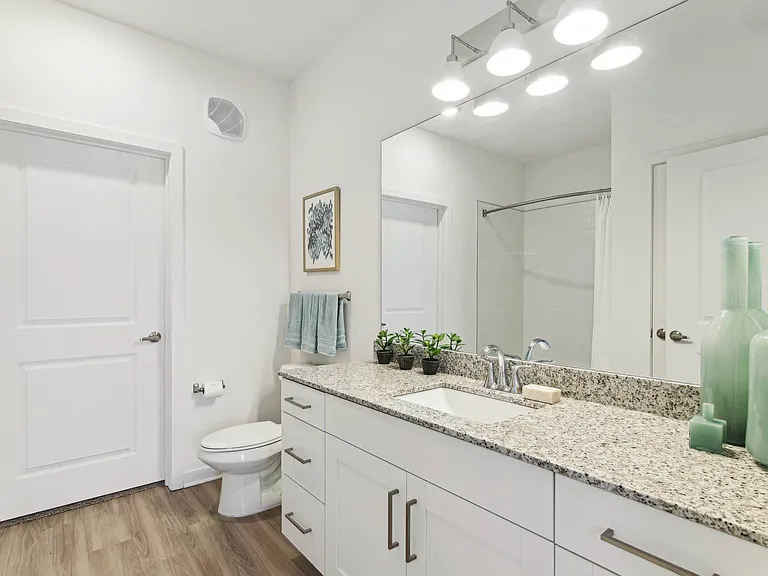 Well-Appointed Bathrooms