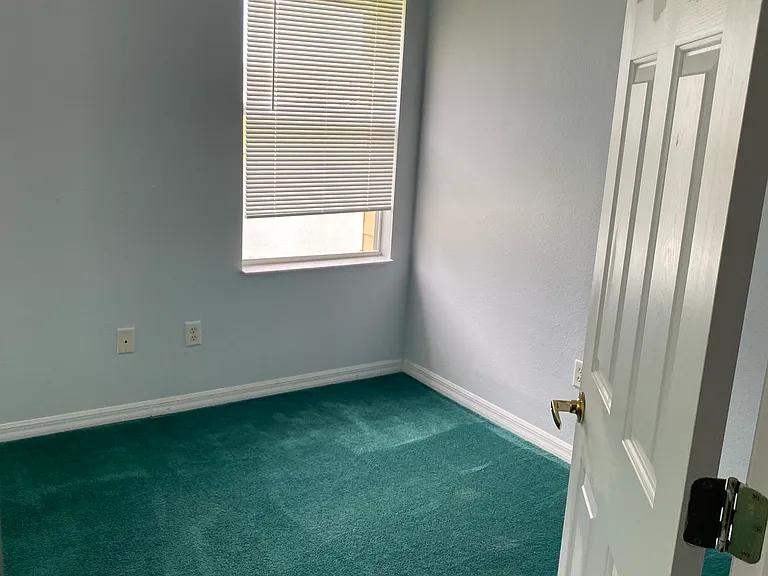 1335 Washington Palm Loop — Photo 22
