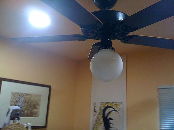 Hunter ceiling fans