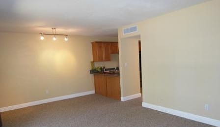 Huge Living Room Dinning Rm