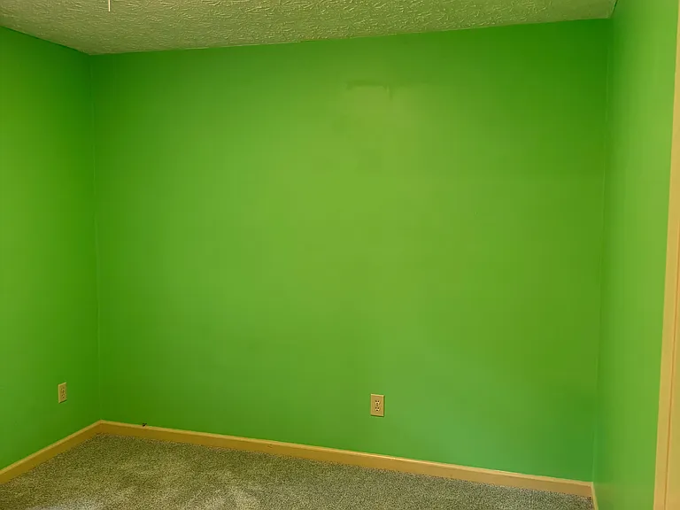 Vibrant green colors in room overlooking large back yard.