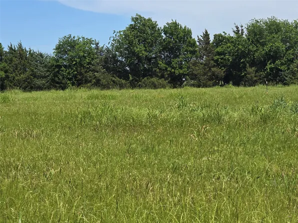 County Road 1039, Blue Ridge, TX 75424