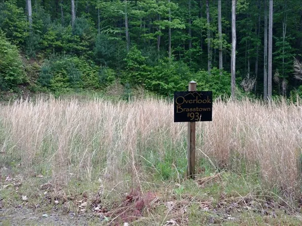 LOT 93 Brasstown Vw, Brasstown, NC 28902