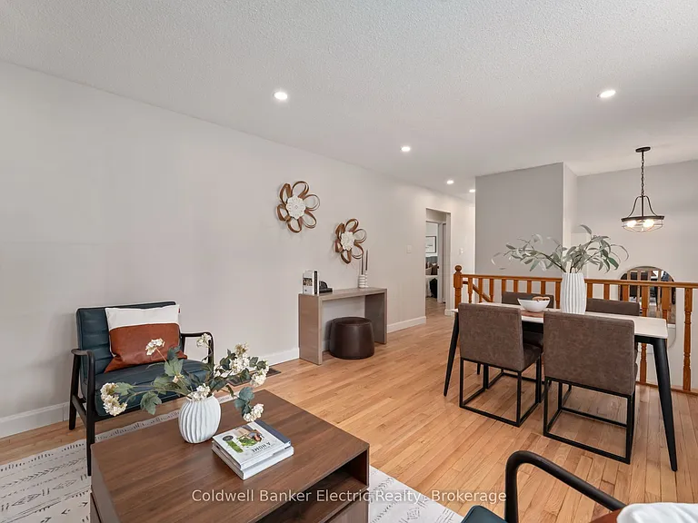 8B Pottinger St — Photo 4