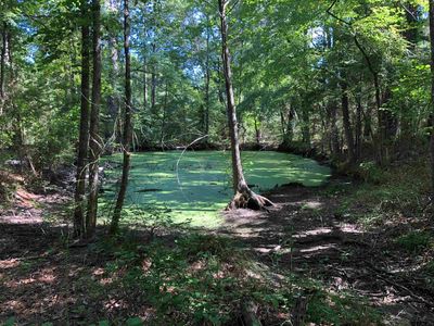 County Road 1419, Jacksonville, TX, 75766