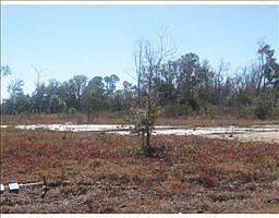 2nd image of 16050 Lorraine Cir