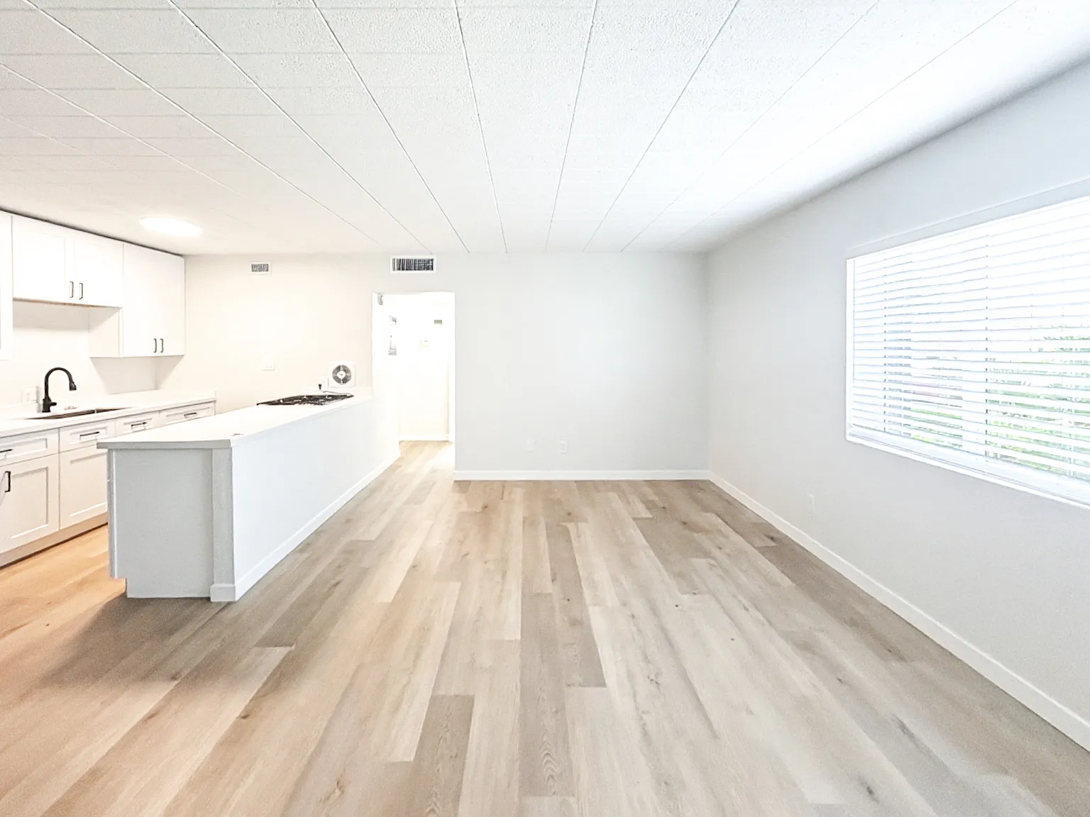 1 bed, 700 sqft, $1,100 — Photo 3