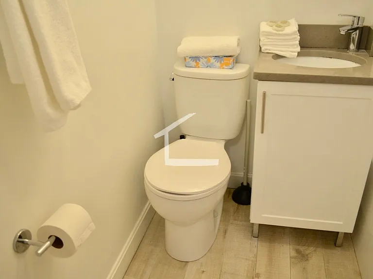 36 E Springfield St #2 — Photo 10
