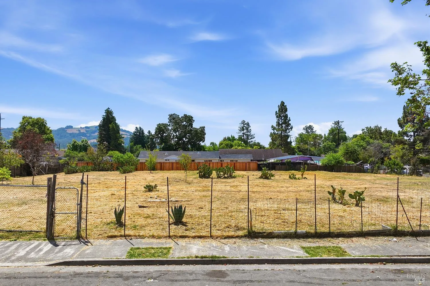 1306 Grand Avenue - Photo 8