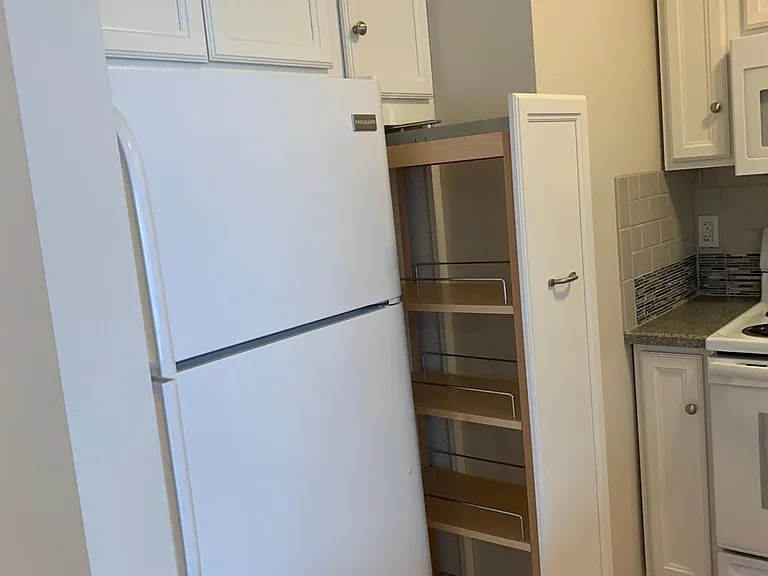 319 E Grand River Ave #1 — Photo 3