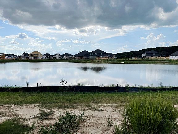 Backyard Lakeview