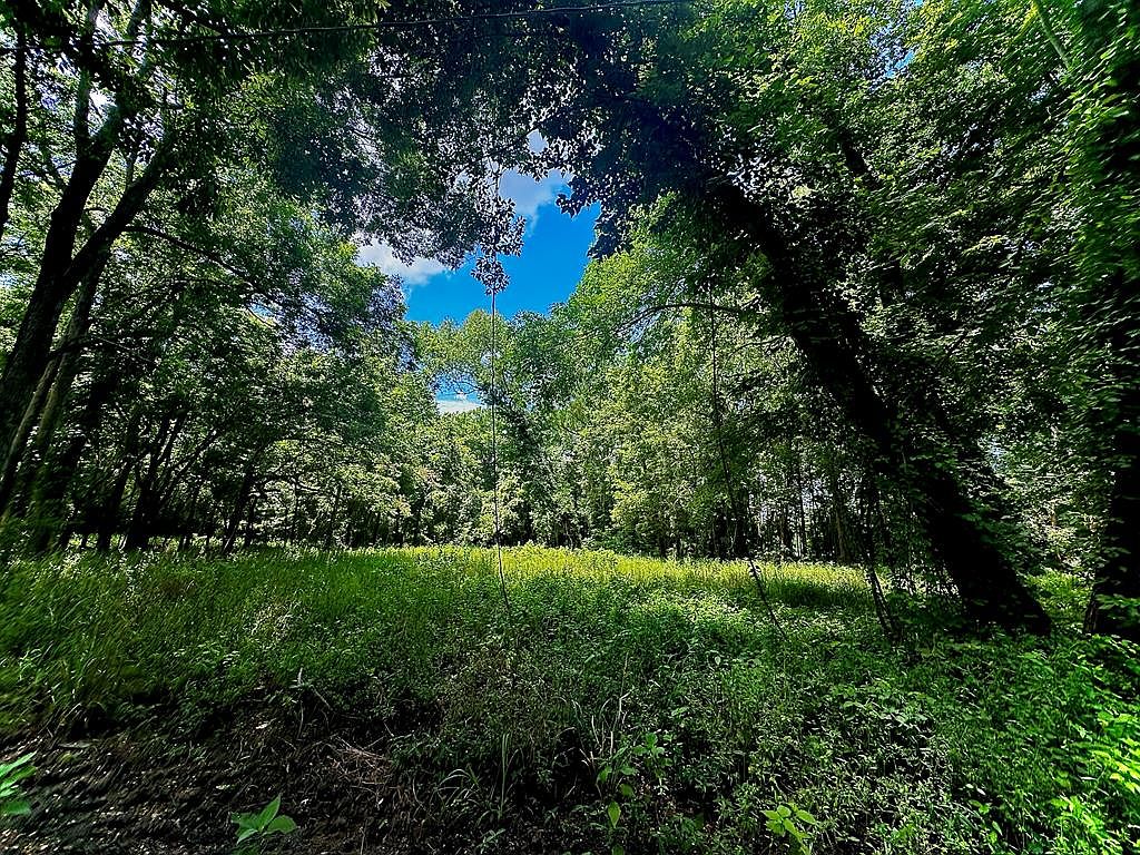 5792 Lake Mary Rd, Woodville, MS 39669 MLS 141736 Zillow