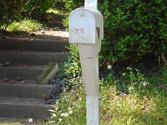2nd image of 709 N Bellamy Dr