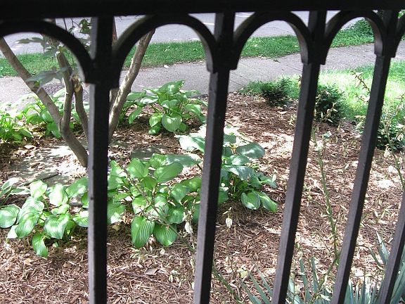 New custom wrought-iron rails