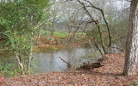 1st image of LOT 5 McGlamery Farms