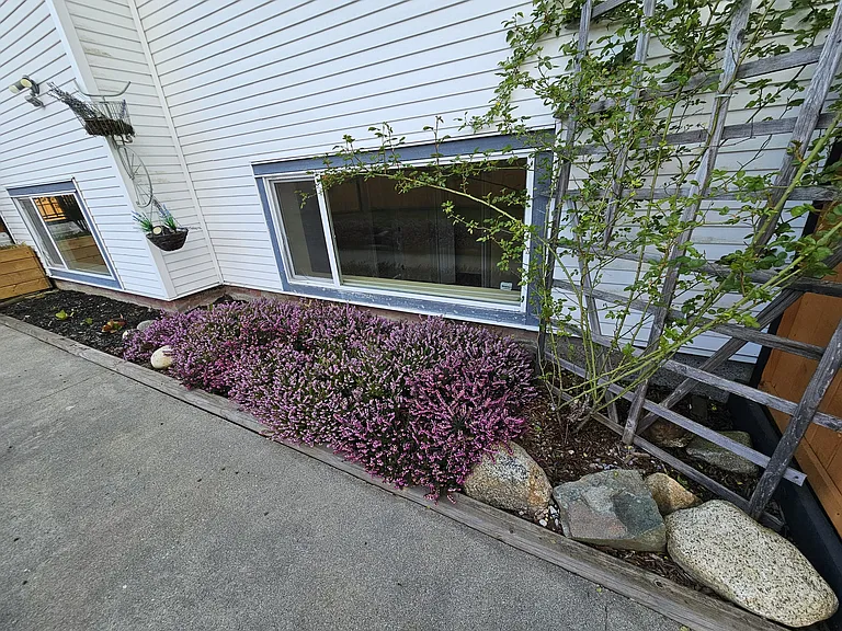 8211 Dogwood St — Photo 10