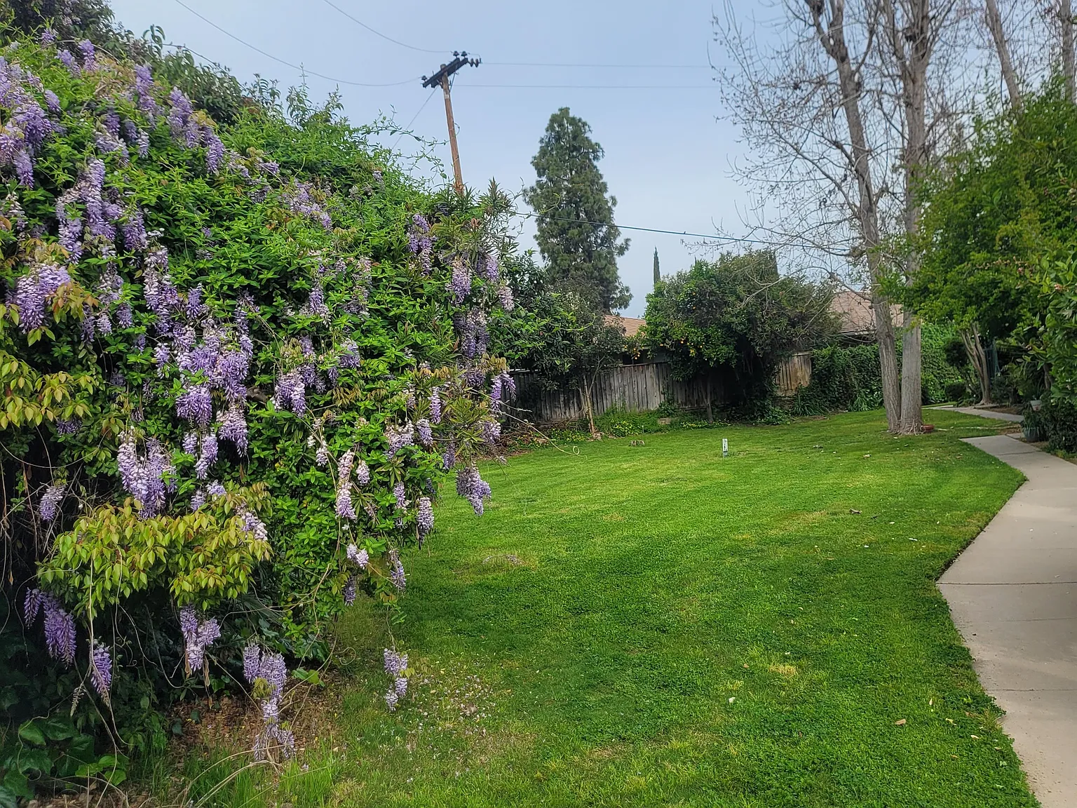 Link Care Housing — Photo 4