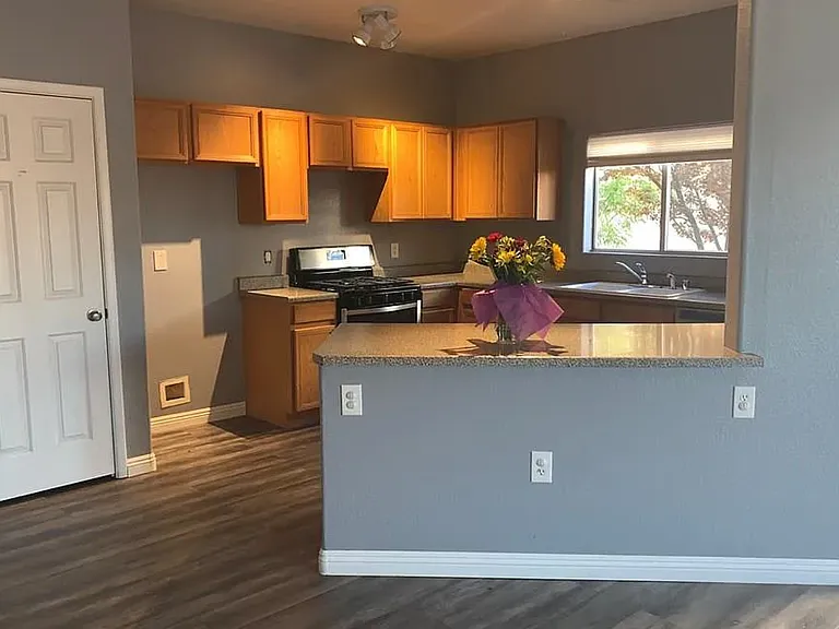 3925 Pepper Thorn Ave #101 — Photo 6