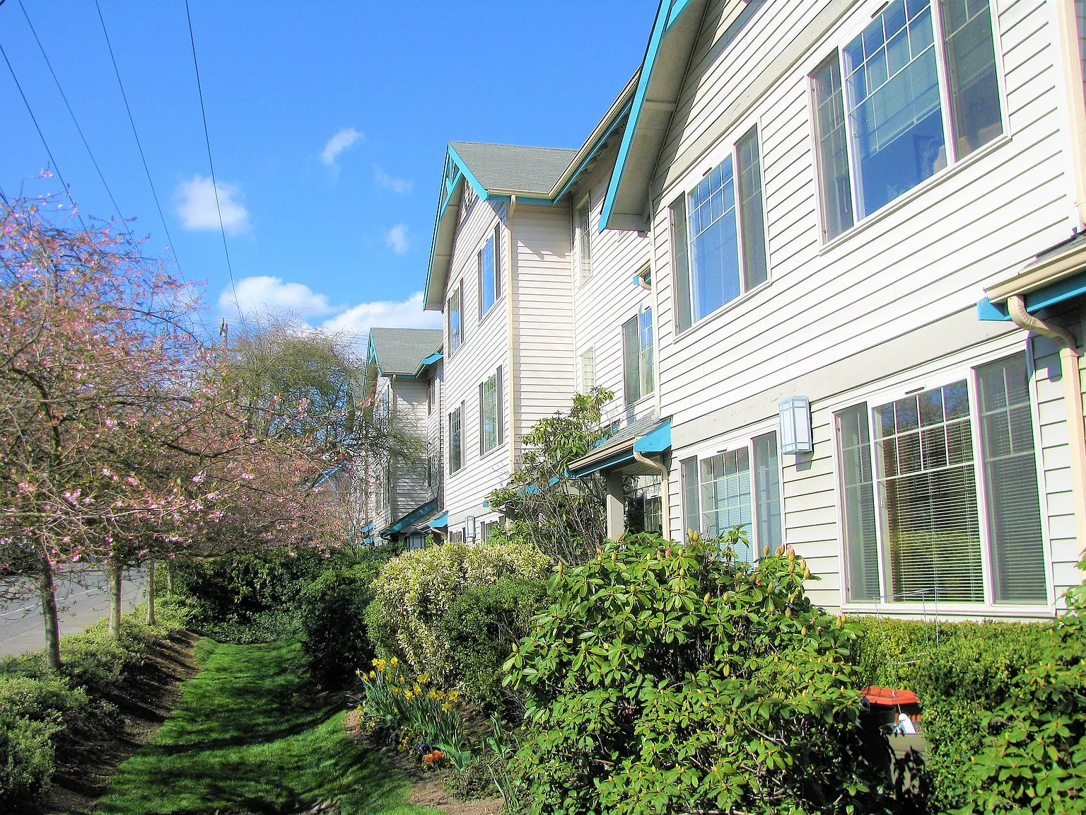 Lake Burien View — Photo 4