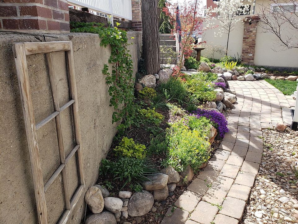 Front yard