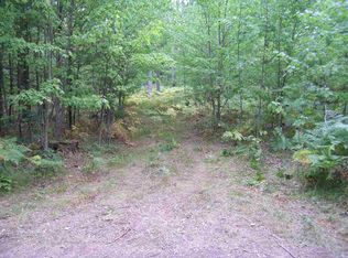 Xxx Bell Top Lodge Rd, Roscommon, MI 48653