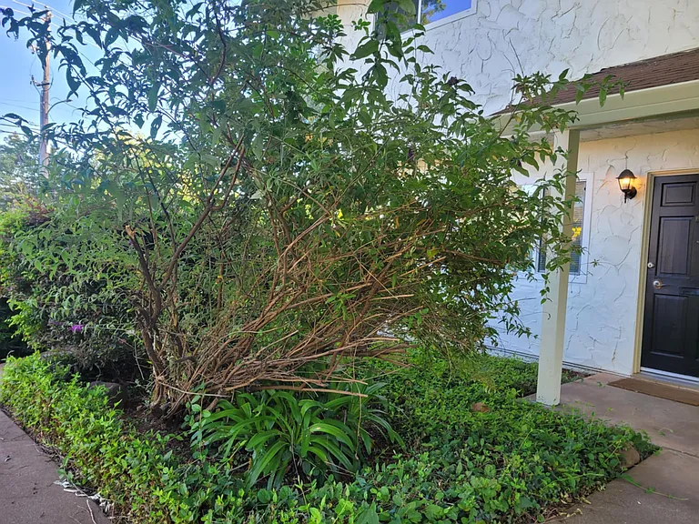 1464 Manzanita Ave #6 — Photo 1