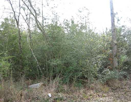 2nd image of Strader Rd