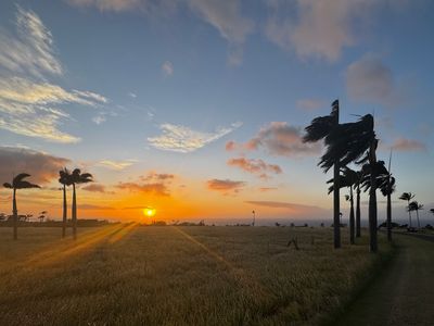 56-2929 Puakea Bay Dr Lot 4-207, Hawi, HI, 96719