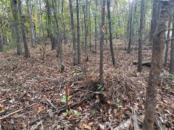 N/a Mulberry Cir #147, Jasper, GA 30143