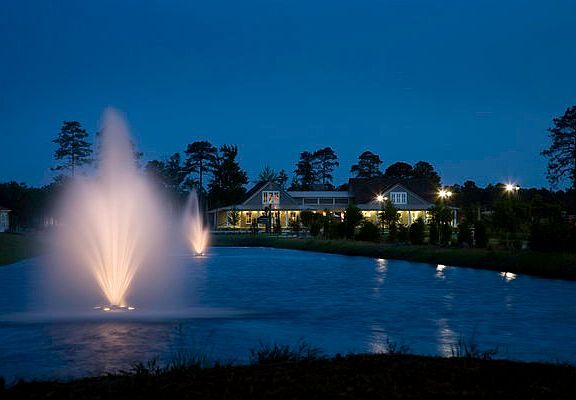 Serene summer nights