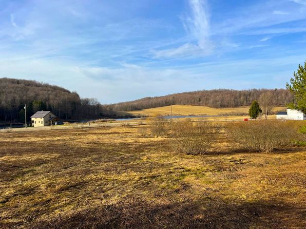 Pigeon Valley Rd, Little Valley, NY 14755
