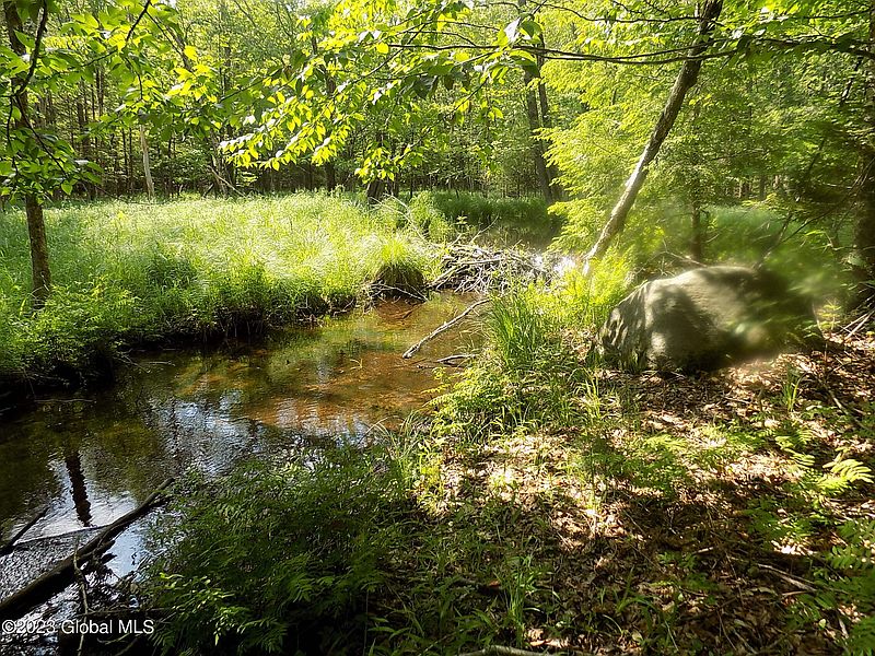 2nd image of 223 Walter Maxfield Road 2 Lots