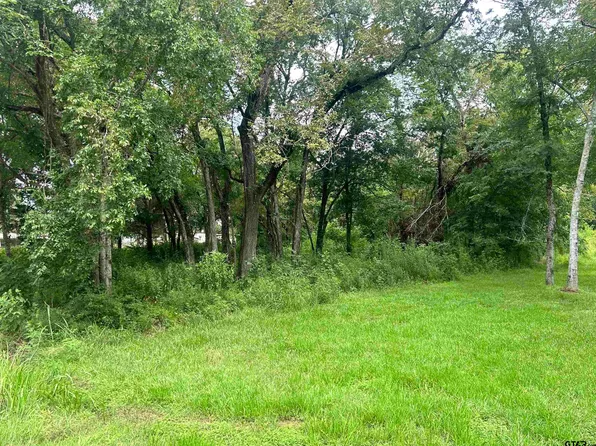 415 San Saba St, Bullard, TX 75757