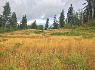 REMMEN Rd, Elma, WA 98541