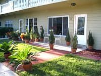 1st image of 2427 Finlandia Ln APT 19