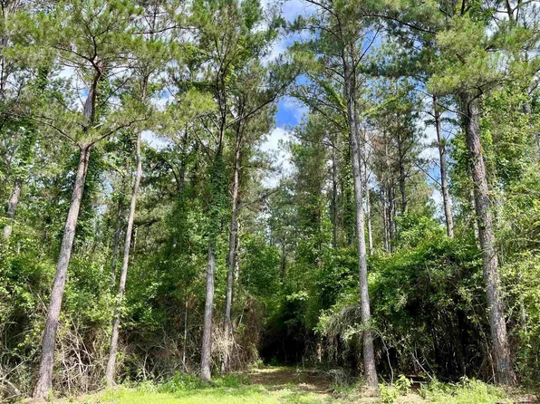 6 Hall And Lindsey Rd, Greensburg, LA 70441