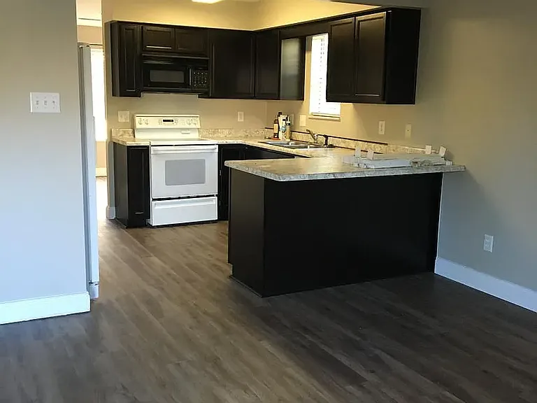 10602 Alysun Nikole Dr — Photo 4