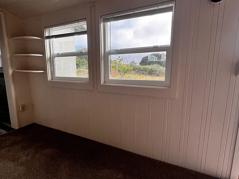Main living area windows (lots of natural light)