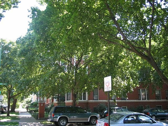 1st image of 2557 W Wilson Ave #3