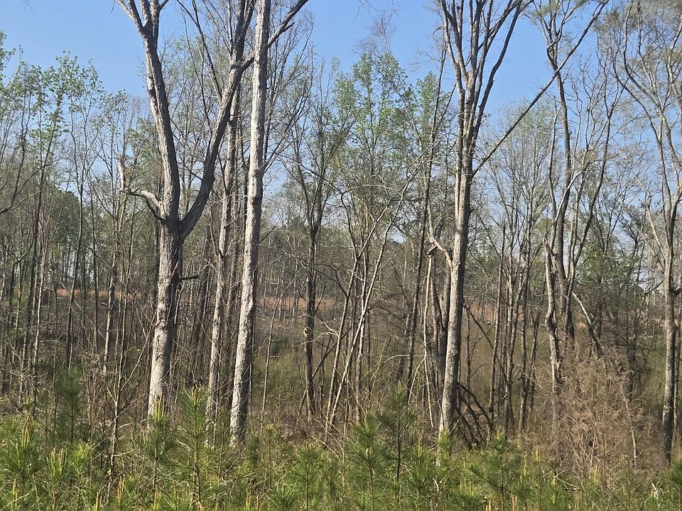 2nd image of 0 Mercier Road