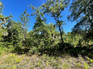 16147 Sheldrake Loop, Brooksville, FL 34614