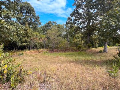 11 Wilderness Trail, Tunas, MO, 65764