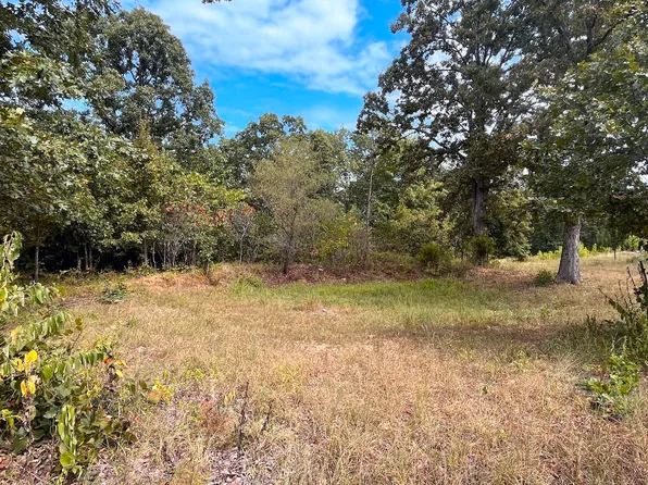 11 Wilderness Trail, Tunas, MO 65764